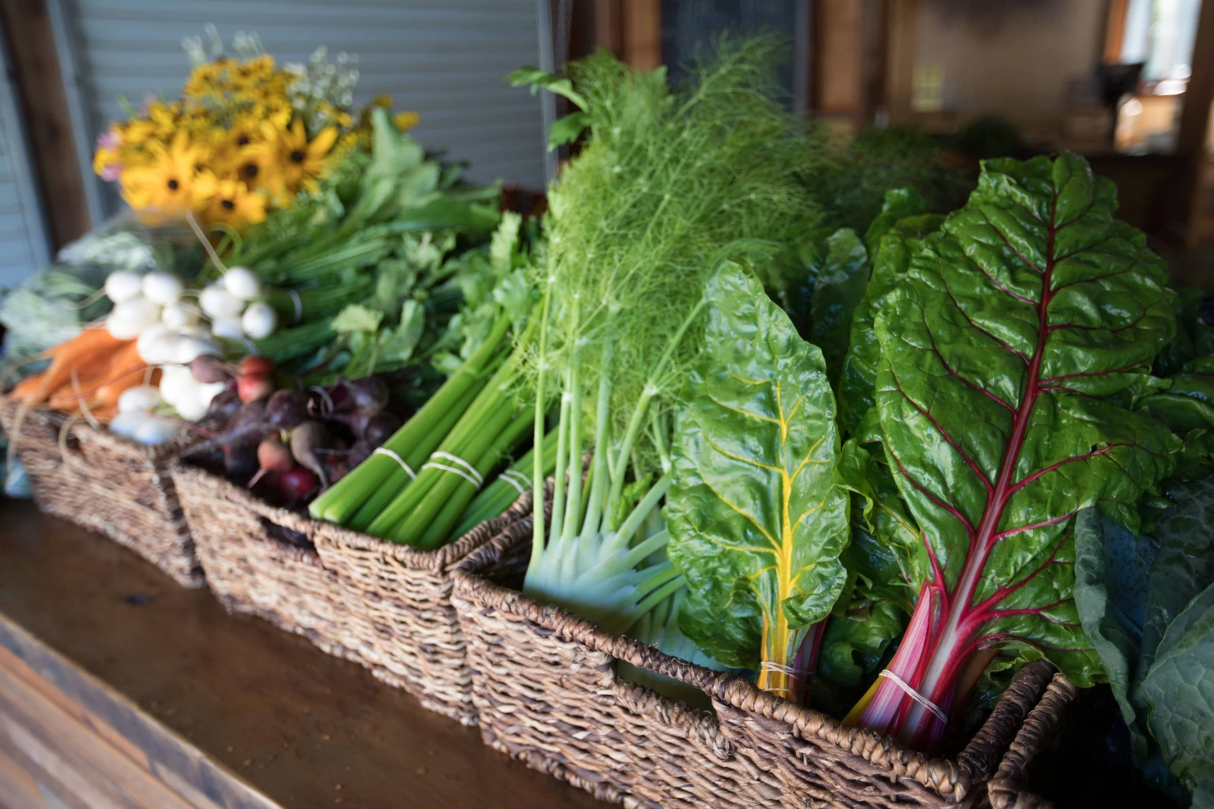 Anderson Valley Farm Stand — Filigreen Farm